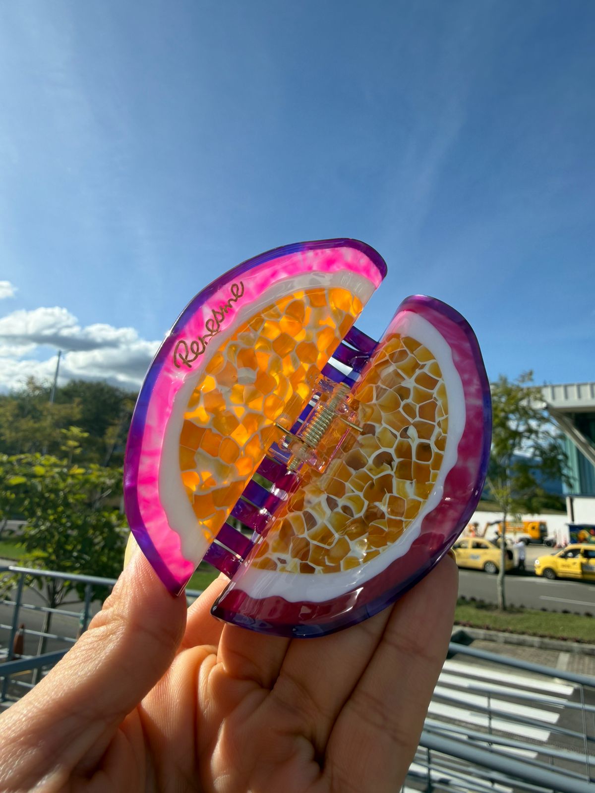 Hair Clip